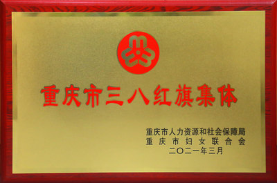 重庆市三八红旗集体