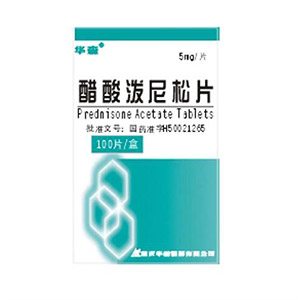 ����������Ƭ