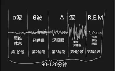 微信图片_20190401163658.jpg