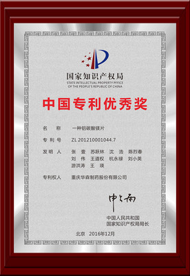 中国专利优秀奖 - 铝碳酸镁片