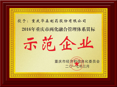 重庆市两化融合管理体系贯标示范企业