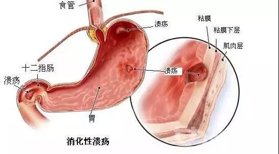 微信图片_20181229175801.jpg